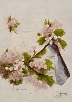 ããã®èŒãã¯å¿ããªãããã®çç·šéã ã((