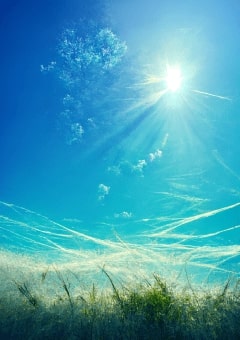 【参加型〆】バレたら終わりの恋だから。