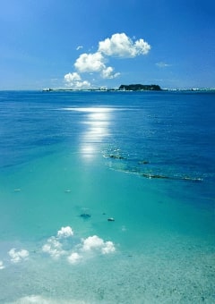 都道府県・市区町村日常系
