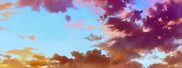 スミさんの壁紙画像