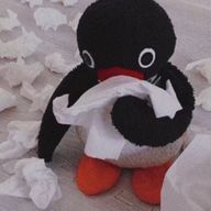 🩶🎶さんのアイコン画像