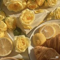 るし 🐝🥞🍯  @無期限活動休止さんのアイコン画像