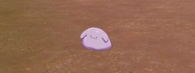 しゃめぇさんの壁紙画像