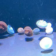 Miraさんのアイコン画像