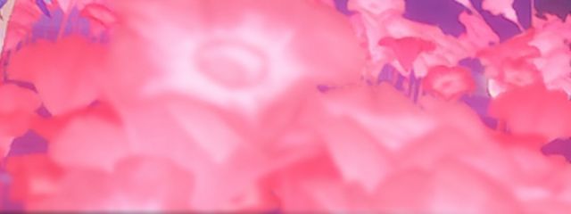 有栖 雪❄ さんの壁紙画像