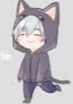 ❀　ｰ　💙🐈‍⬛    ｰ   *ﾟ❀