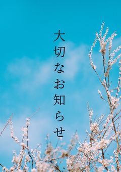 大切なお知らせ⋆͛📢⋆