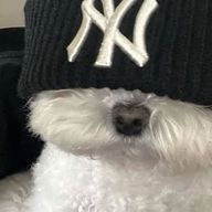 soaさんのアイコン画像