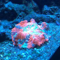 ＹｕuKiiさんのアイコン画像