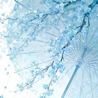 ソマさんのアイコン画像