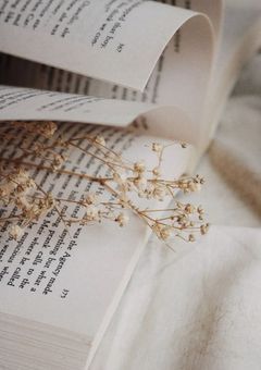 雑談 & プロセカ日記 !