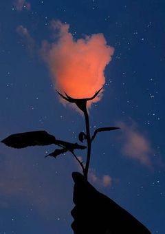 ぼちぼち短編🐊  .com