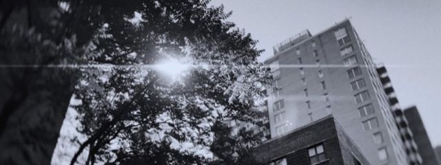 ARML  Noua🐰🐭さんの壁紙画像