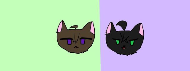 ねむ猫#rdsmを広め隊さんの壁紙画像