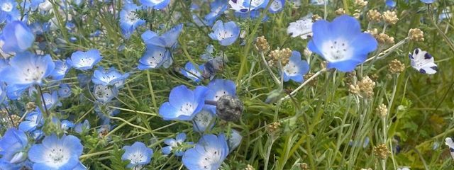 木の三乗さんの壁紙画像