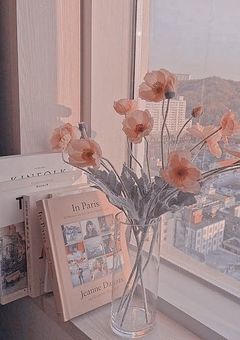 # 韓国人気女優のInstagram🥀