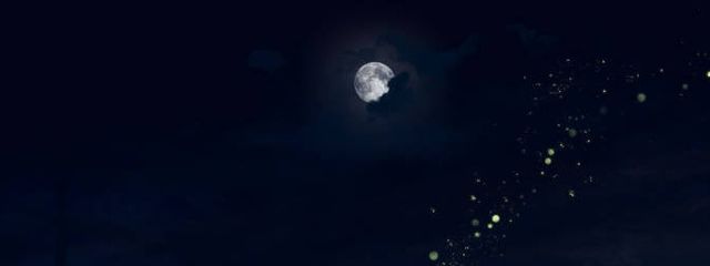 夜さんの壁紙画像