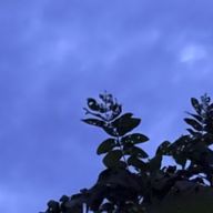 👾😈💀🌙さんのアイコン画像