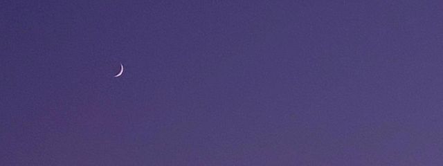 pynattuさんの壁紙画像