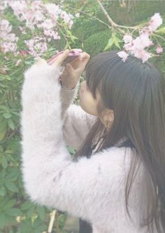 関西Jr の 女の子