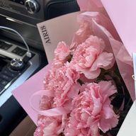 SOURIREさんのアイコン画像