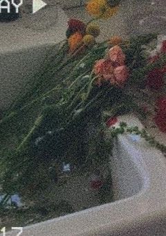 ただ  もう一度 だけ 。