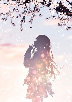 ˚*.꒰   🏷️Tag   ꒱.*˚ 
