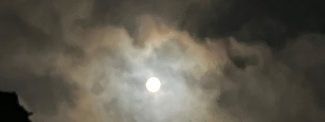 ゆーくんさんの壁紙画像