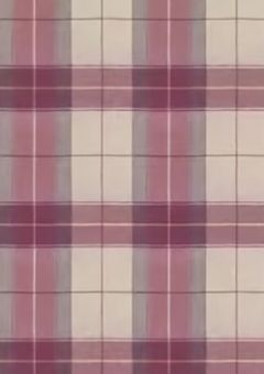 今日好きになりました。〜stpr編〜