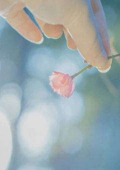 12年振りと7年振りの初恋