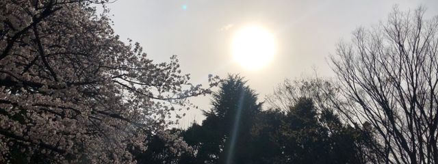 卯月さんの壁紙画像