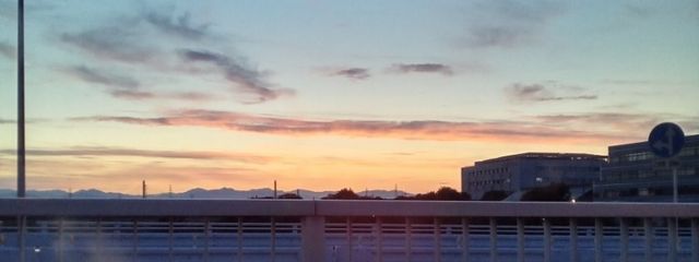 hosiさんの壁紙画像