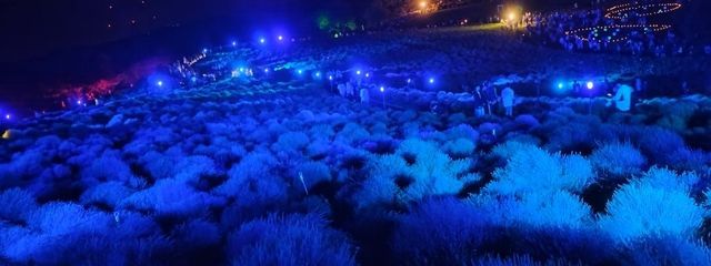 雨樋さんの壁紙画像