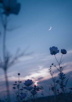 表では明るい女の子は裏では...??