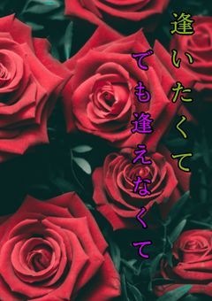 逢いたくてでも逢えなくて