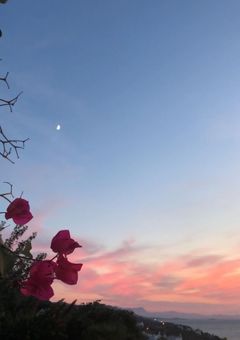 この恋叶いますか？