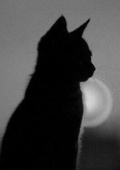 防弾のマンネ、嫌われてます