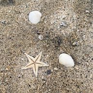 sugarさんのアイコン画像