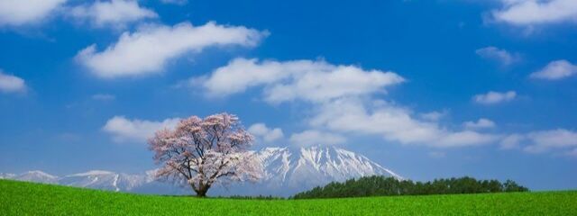 Mao☆さんの壁紙画像