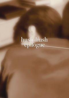 ➂hush-hush epilogue 