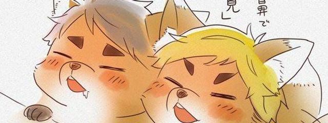 小指が痛い人@稲荷崎と音駒推しさんの壁紙画像