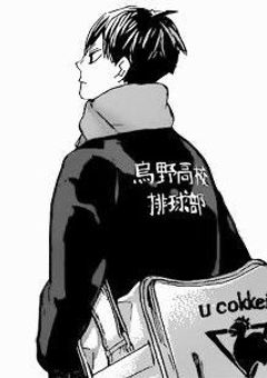 影山兄日本代表
