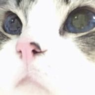 むんさんのアイコン画像