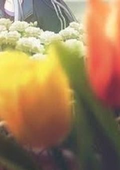 プロセカ短編集