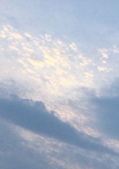 報告､リクエストなど