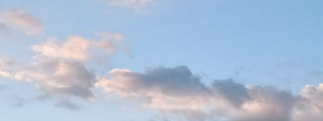 美華なの🌱🌼🍀@菜の花畑 さんの壁紙画像