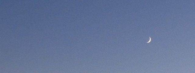 mwoyeyoさんの壁紙画像