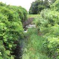 にじももくん🖤さんのアイコン画像