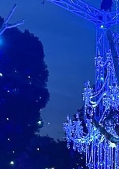 🐉🇯🇵の冷酷アナリスト