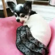 おはぎさんのアイコン画像